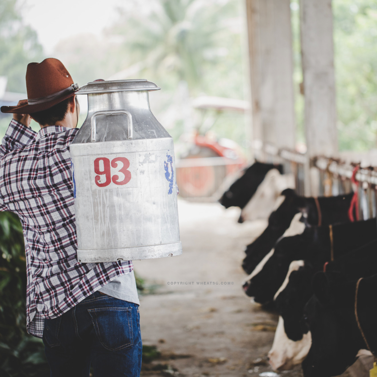 Emborg UHT Full Cream Milk 3.5% Fat 1L